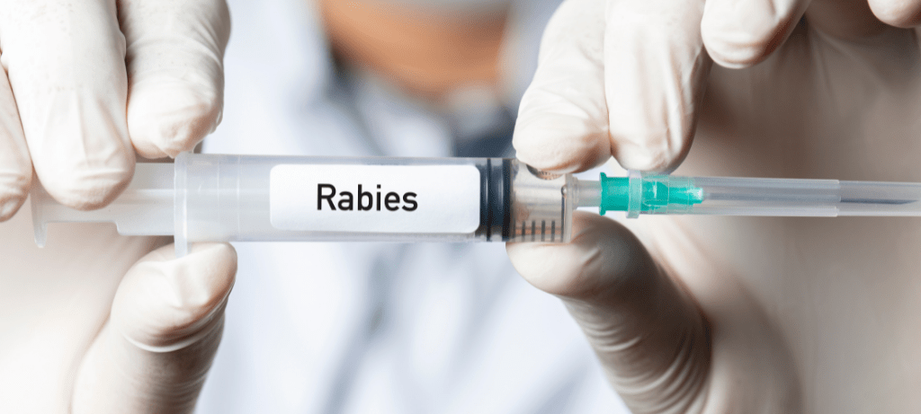 rabies vaccine wellingborough